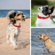 PVC wasserdichte, geruchsresistente, rostfreie Hundeleine, leicht zu reinigende verstellbare Hundeleine geeignet für kleine, mittlere und große Hunderassen