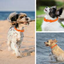 PVC wasserdichtes, geruchsresistentes, rostfreies Hundehalsband mit verstellbarer Schnalle, geeignet für kleine, mittlere und große Hunderassen