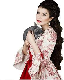 Party Limited Edition  Women's Victorian Rococo Dress Temperament Evening Dress Inspiration Maiden Horn Sleeve Costume