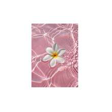1 buc/set Artă abstractă estetică roz Koi Poster și imprimare, pictură modernă pe pânză Koi pentru decor dormitor living, pictură retro pe pânză, cadou de artă murală pe pânză, fără ramă inclusă - Multicolor - Vizualizare 12
