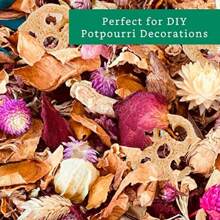 Natural Loofah Slices For Soap Making 20 Pack Organic Loufa Cuts Bulk Luffa Soap Making Plies - Natural - View 6