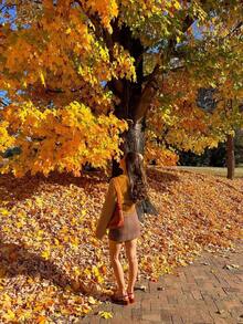 EAVA 女士时尚长袖罗纹针织条纹开衫，常规长度，柔软针织面料，略带弹性 - 橘色 - 查看 9