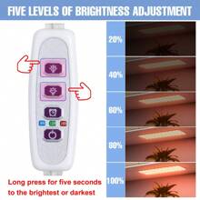 Sunlight LED Green Plant Grow Light USB Cycle Timing Auto On/Off Indoor 5Levels Dimmable Black Quantum Board Planting Fill Lamp 5V Bonsai Hydroponic Greenhouse Tent Growth Box Potting Succulent Seedlings Lights Red Blue UV IR Adjustable Brightness Moss Vegetable Fruit Cactus Flower Professional Cultivation Lighting 1-4 Heads 72/144/216/288leds