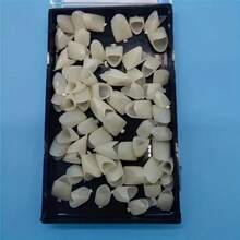 50片装临时牙齿替换套装，牙齿美白贴片，简单方便，适用于所有牙齿形状，提升自信笑容魅力 - 彩色 - 查看 3