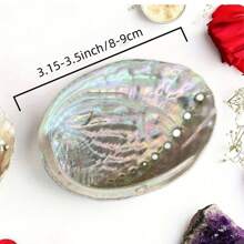 Premium Large Abalone Shell - Perfect For Jewelry Crafting, Meditation & Home Decor | Unique Gift Idea