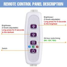 Sunlight LED Green Plant Grow Light USB Cycle Timing Auto On/Off Indoor 5Levels Dimmable Black Quantum Board Planting Fill Lamp 5V Bonsai Hydroponic Greenhouse Tent Growth Box Potting Succulent Seedlings Lights Red Blue UV IR Adjustable Brightness Moss Vegetable Fruit Cactus Flower Professional Cultivation Lighting 1-4 Heads 72/144/216/288leds