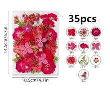 35-43 pezzi di fiori secchi e pressati naturali in kit fai-da-te per resina epossidica, stampi per gioielli in resina epossidica, candele, saponi, decorazioni per unghie, segnalibri. Materiali naturali a base di foglie vere - realizzati con fogliame reale stagionale, specificamente disidratati, pressati e asciugati per preservarne l'originalità. Stile naturale, adatto a qualsiasi lavorazione fai-da-te.