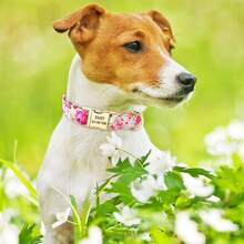 Collier personnalisé imprimé pour chien avec gravure, collier de compagnie personnalisé à motif floral, collier avec étiquette d'identification anti-perte réglable pour chiens petits/moyens/grands, La Vie Secrète des Animaux de Compagnie, Cadeaux personnalisés - Rose pâle - Voir 4