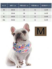 Pet Collars - Rainbow - View 13
