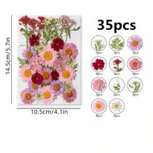 35-43 pezzi di fiori secchi e pressati naturali in kit fai-da-te per resina epossidica, stampi per gioielli in resina epossidica, candele, saponi, decorazioni per unghie, segnalibri. Materiali naturali a base di foglie vere - realizzati con fogliame reale stagionale, specificamente disidratati, pressati e asciugati per preservarne l'originalità. Stile naturale, adatto a qualsiasi lavorazione fai-da-te.