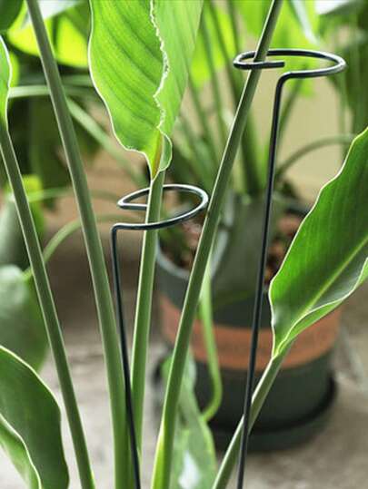 1pc/5pcs Plant Support Pole, 11.8in Garden Stake Plant Cage Support For Indoor/Outdoor Plants Tomato Peony Orchid