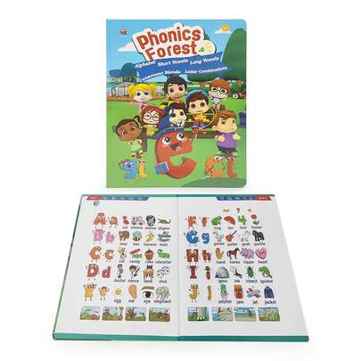 可充电儿童电子有声英语字母书（包含 1 本有声书 + 1 根充电线；34 页内容：英语字母表、短元音、长元音、混合词、字母组合、单词、月份、童谣、对话），送给孩子学习英语的绝佳礼物