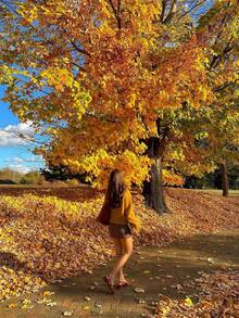 EAVA 女士时尚长袖罗纹针织条纹开衫，常规长度，柔软针织面料，略带弹性 - 橘色 - 查看 6