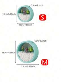 现代圆形玻璃壁挂花盆，多肉花盆，圆形铁制悬挂花盆/花瓶，适合种植草本植物、小仙人掌，非常适合阳台、房间和庭院装饰 - 彩色 - 查看 3