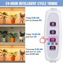 Sunlight LED Green Plant Grow Light USB Cycle Timing Auto On/Off Indoor 5Levels Dimmable Black Quantum Board Planting Fill Lamp 5V Bonsai Hydroponic Greenhouse Tent Growth Box Potting Succulent Seedlings Lights Red Blue UV IR Adjustable Brightness Moss Vegetable Fruit Cactus Flower Professional Cultivation Lighting 1-4 Heads 72/144/216/288leds