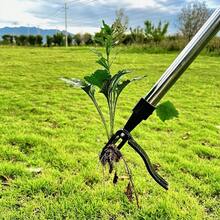 Unkrautvernichter – Der originale, aufrechte Unkrautvernichter mit langem Griff – Mit verdicktem Edelstahlrohr und 4-zinkigem Kopfdesign – Entfernen Sie Unkraut mühelos, ohne sich bücken, ziehen oder hinknien zu müssen.