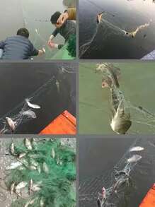 渔网，适合户外淡水钓鱼 - 綠色 - 查看 4