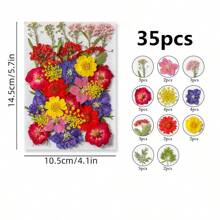 35-43 pezzi di fiori secchi e pressati naturali in kit fai-da-te per resina epossidica, stampi per gioielli in resina epossidica, candele, saponi, decorazioni per unghie, segnalibri. Materiali naturali a base di foglie vere - realizzati con fogliame reale stagionale, specificamente disidratati, pressati e asciugati per preservarne l'originalità. Stile naturale, adatto a qualsiasi lavorazione fai-da-te.