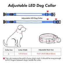 Light Up Dog Collar - Reflective LED Dog Collar, Waterproof Glow In The Dark Dog Collars, Rechargeable Dog Lights For Night Walking - Blue - View 2