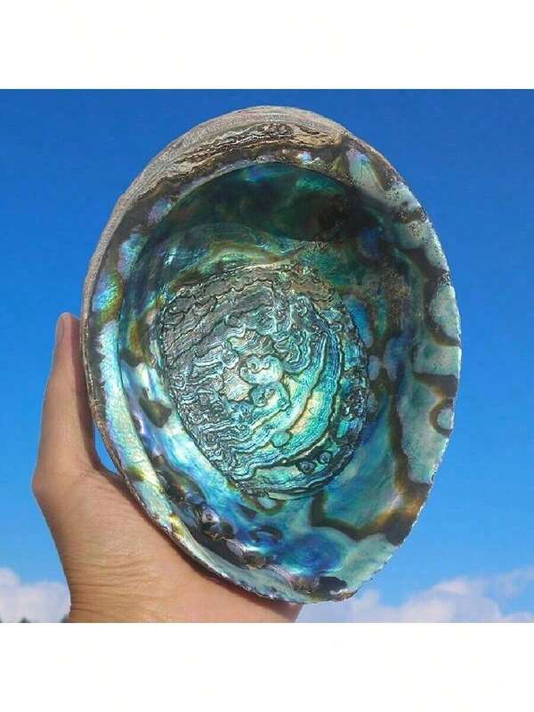 Premium Large Abalone Shell - Perfect For Jewelry Crafting, Meditation & Home Decor | Unique Gift Idea