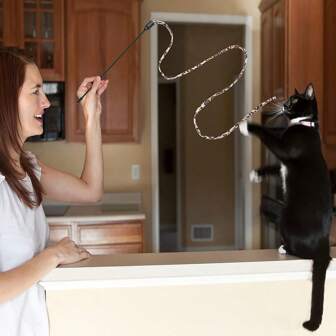 1pc Leopard Print Cat Teaser Wand, Durable & Chew-Resistant, Suitable For Cat Training & Interactive Play