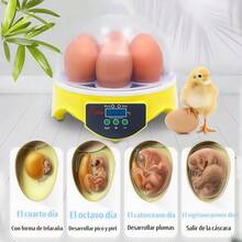 Incubadoras Automatico De 7 Huevos , Encubadorae De Aves-huevo de gallina,huevo de pato,huevo de ganso,huevo de codorniz,huevo de pavo,huevo de lagarto,huevo de pavo real,huevo de paloma,huevo de faisán,huevo de tortuga,huevo de cocodrilo,huevo de serpiente - Tipo de Enchufe B USA (110-127V) - Ver 5
