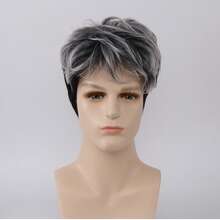 10-Inch Men'S Stylish Short Curly Wig, Silvery Gray With Black Mix, Rose Net Synthetic Fiber, Side Bangs, Heat Resistant, For Daily Wear, Festivals, Halloween, Christmas, Father'S