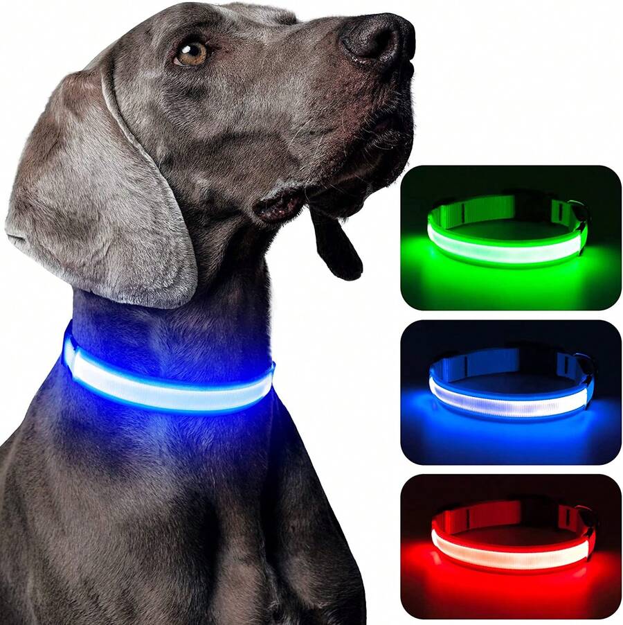 Light Up Dog Collar - Reflective LED Dog Collar, Waterproof Glow In The Dark Dog Collars, Rechargeable Dog Lights For Night Walking - Blue - View 1