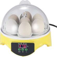 Incubadoras Automatico De 7 Huevos , Encubadorae De Aves-huevo de gallina,huevo de pato,huevo de ganso,huevo de codorniz,huevo de pavo,huevo de lagarto,huevo de pavo real,huevo de paloma,huevo de faisán,huevo de tortuga,huevo de cocodrilo,huevo de serpiente - Tipo de Enchufe B USA (110-127V) - Ver 1