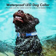 Light Up Dog Collar - Reflective LED Dog Collar, Waterproof Glow In The Dark Dog Collars, Rechargeable Dog Lights For Night Walking - Blue - View 5
