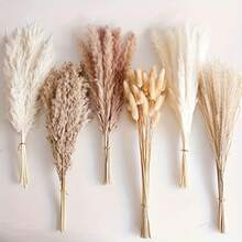 110pcs Dried Pampas Grass Bouquet - Brown & White, Ideal For Wedding, Home Decor, Parties | Multi-Purpose Decor For Christmas, Halloween, Thanksgiving - 彩色 - 查看 1