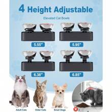 Elevated Cat Bowls 15° Tilted Raised Cat Food Bowl With 2 Stainless Steel Bowls 4 Height Adjustable Pet Dishes For Food And Water Anti Vomiting Bowl For Puppy And Cats With NonSlip Feet - 如圖 - 查看 4