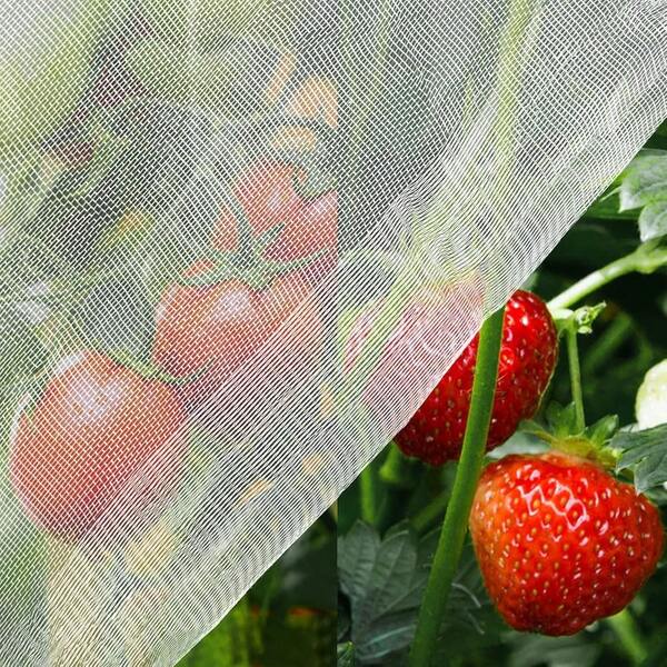 New Daily Supplies  8x10ft Garden Netting, White Mosquito Net Insect Mesh Bird Netting Barrier Screen, Plant Net Row Cover For Vegetables, Garden Bed Cover Protect Fruit Tree Flowers Crops Grow