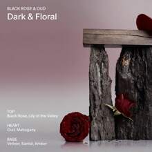 Black Rose & Oud Scent, Santal & Vetiver Scent, Skincare Infused Perfume Hair & Body Spray For Women And Men, Hydrating Fragrance With Red Algae, Vegan, Cruelty Free, 3.4 Fl Oz