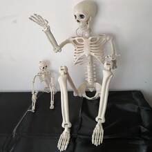 40/90cm Realistic Plastic Skeleton Decoration For Halloween, Haunted House, Holiday Scene Props