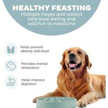 Fun Feeder Slo Bowl Large Slow Feeder Dog Bowl 4 Cups Sage - Large - View 2