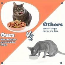 10 Stücke Katzen Näpfe + 1 Stück Aufbewahrungsregal, flache Katzenfutter Näpfe, breite Näpfe für Katzennassfutter, geeignet für Schnurrbart-Katzen, Katzen Wassernäpfe für Innenbereich, rutschfeste Fütterungsschale, geeignet für kleine Katzen, Kätzchen und kurzbeinige Katzen