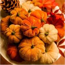 6 件人造仿天鹅绒天鹅绒模拟蔬菜泡沫面料南瓜装饰，适用于秋季家居装饰，各种家用天鹅绒南瓜仿制品，人造秋季餐桌装饰，可重复使用的感恩节和秋季餐桌中心装饰