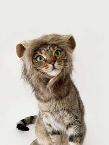 新款可爱有趣的宠物服装，可爱猫狮鬃毛头饰帽，化装舞会服装，带耳朵的狗帽，化装舞会用品，万圣节头饰 - 彩色 - 查看 3