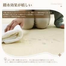 Lagua Area Rugs & Sets - Màu ngà trơn (IV) - Xem 2