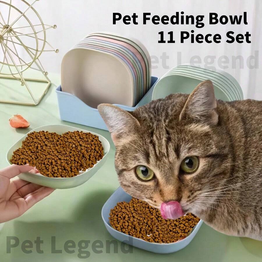 10 Stücke Katzen Näpfe + 1 Stück Aufbewahrungsregal, flache Katzenfutter Näpfe, breite Näpfe für Katzennassfutter, geeignet für Schnurrbart-Katzen, Katzen Wassernäpfe für Innenbereich, rutschfeste Fütterungsschale, geeignet für kleine Katzen, Kätzchen und kurzbeinige Katzen