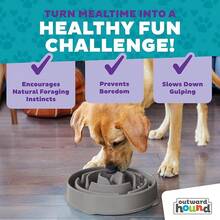 CRUTOutward Hound Fun Feeder Slo Bowl, Large Slow Feeder Dog Bowl, 4 Cups, Purple - 灰色的 - 查看 5