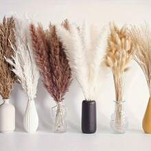 110pcs Dried Pampas Grass Bouquet - Brown & White, Ideal For Wedding, Home Decor, Parties | Multi-Purpose Decor For Christmas, Halloween, Thanksgiving - 彩色 - 查看 3
