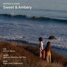 Aluminum Free Deodorant | Extra Strength 48 Hour Protection For Women & Men | Made With Seaweed Extracts, Shea Butter & Prebiotics (Santal & Vetiver)