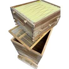 Auto Flowing Beekeeping 3 Box Full Kit 2x Brood 1x Auto Seep Honey Super Beehive Frame WAXED - Màu gỗ nguyên bản - Xem 6