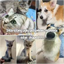 1个定制丑萌宠物抱枕 - DIY抽象设计，可个性化定制，适用于您的猫狗，无白边，是趣味礼物的完美之选，独一无二的宠物毛绒玩具