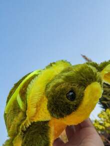 毛绒玩具 海龟雕像 绿海龟 节日礼物 儿童礼物 开学季礼物 装扮房间 圣诞礼物 - 綠色 - 查看 5