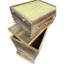 Auto Flowing Beekeeping 3 Box Full Kit 2x Brood 1x Auto Seep Honey Super Beehive Frame WAXED - Màu gỗ nguyên bản - Xem 3