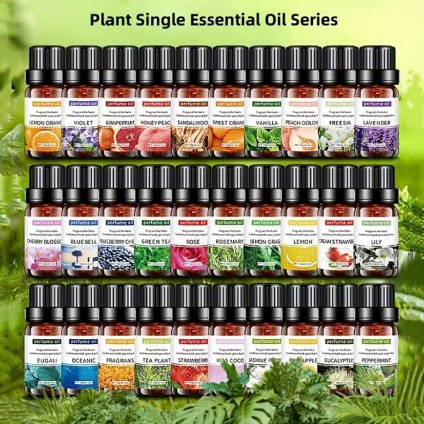 10ml Aromatherapy Oil Essential Natural Oils For DIY Aromath Plaster Ornament Scented Candle Soap Humidifier