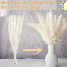 110pcs Dried Pampas Grass Bouquet - Brown & White, Ideal For Wedding, Home Decor, Parties | Multi-Purpose Decor For Christmas, Halloween, Thanksgiving - 彩色 - 查看 4